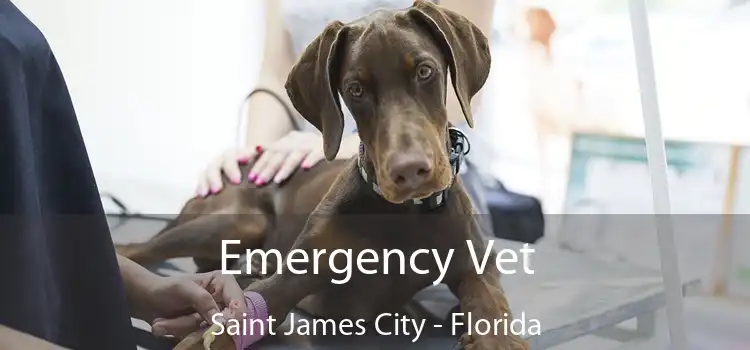Emergency Vet Saint James City - Florida