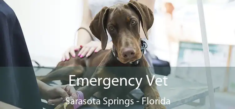 Emergency Vet Sarasota Springs - Florida