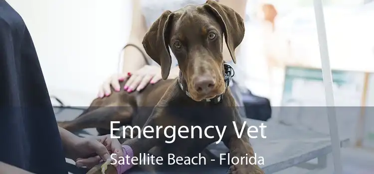 Emergency Vet Satellite Beach - Florida