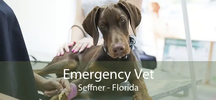Emergency Vet Seffner - Florida