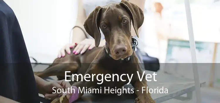 Emergency Vet South Miami Heights - Florida