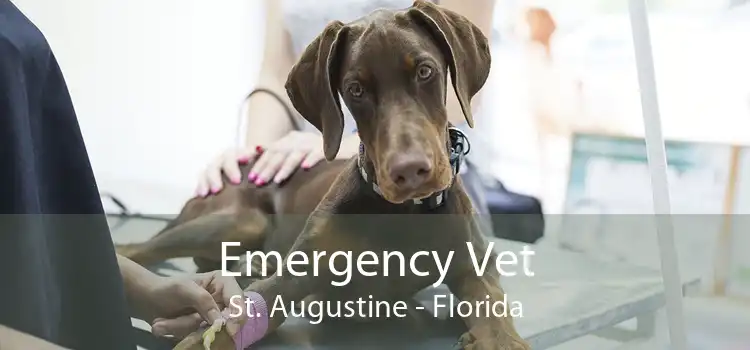Emergency Vet St. Augustine - Florida