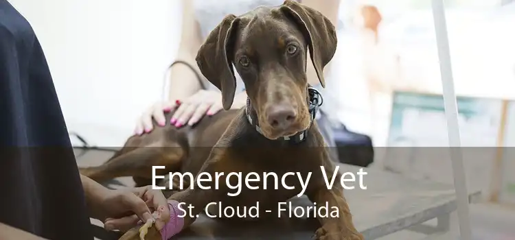 Emergency Vet St. Cloud - Florida