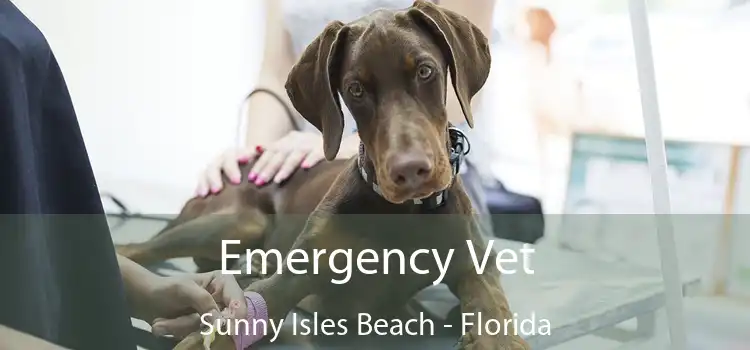 Emergency Vet Sunny Isles Beach - Florida