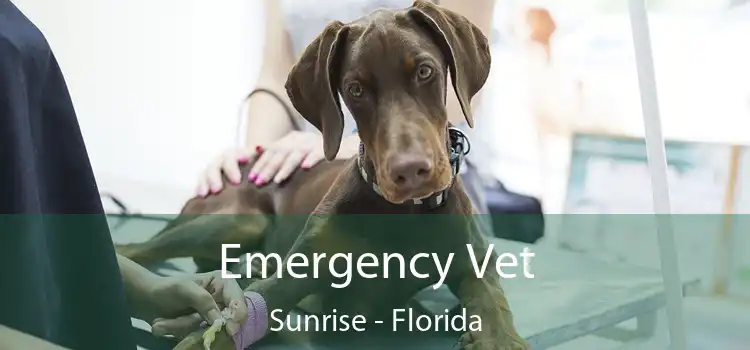 Emergency Vet Sunrise - Florida