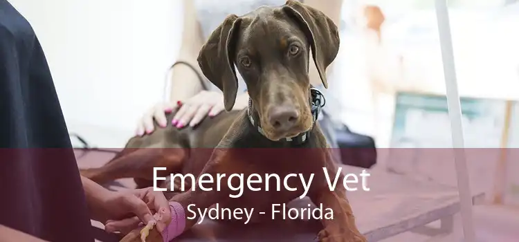 Emergency Vet Sydney - Florida