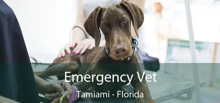 Emergency Vet Tamiami - Florida
