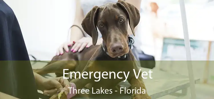 Emergency Vet Three Lakes - Florida