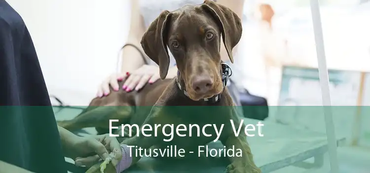 Emergency Vet Titusville - Florida