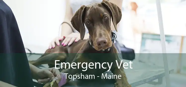 Emergency Vet Topsham - Maine