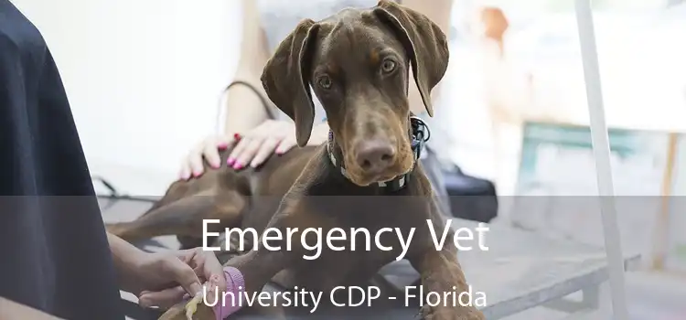 Emergency Vet University CDP - Florida