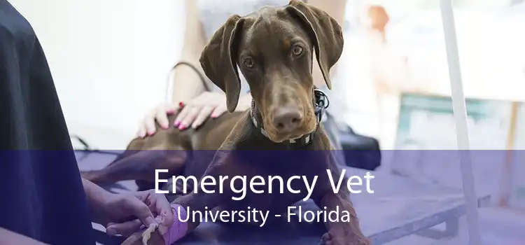 Emergency Vet University - Florida