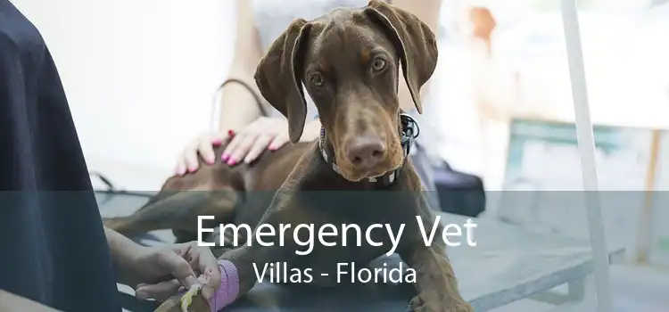 Emergency Vet Villas - Florida