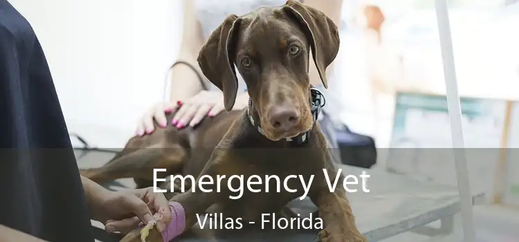 Emergency Vet Villas - Florida