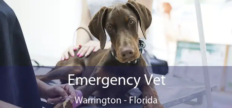 Emergency Vet Warrington - Florida