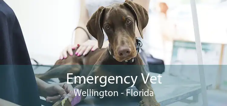 Emergency Vet Wellington - Florida