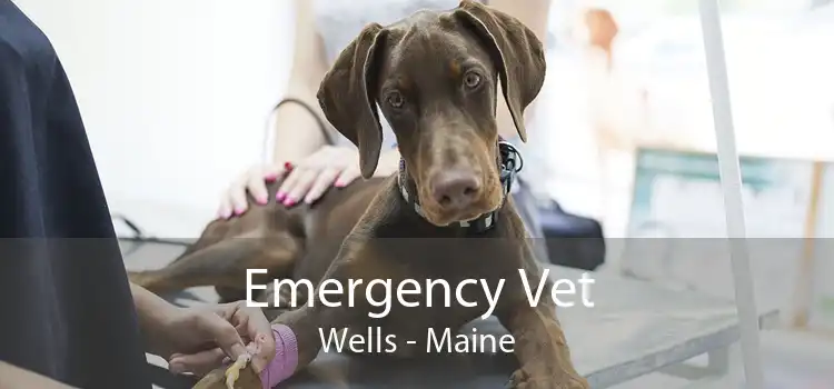 Emergency Vet Wells - Maine