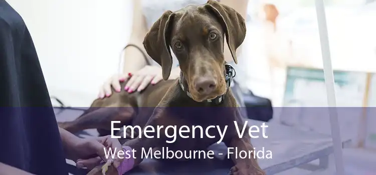 Emergency Vet West Melbourne - Florida