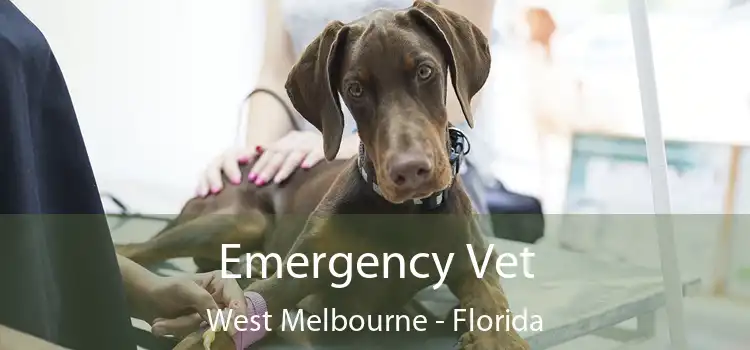 Emergency Vet West Melbourne - Florida