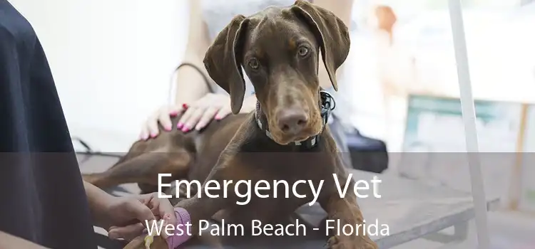 Emergency Vet West Palm Beach - Florida