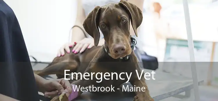 Emergency Vet Westbrook - Maine