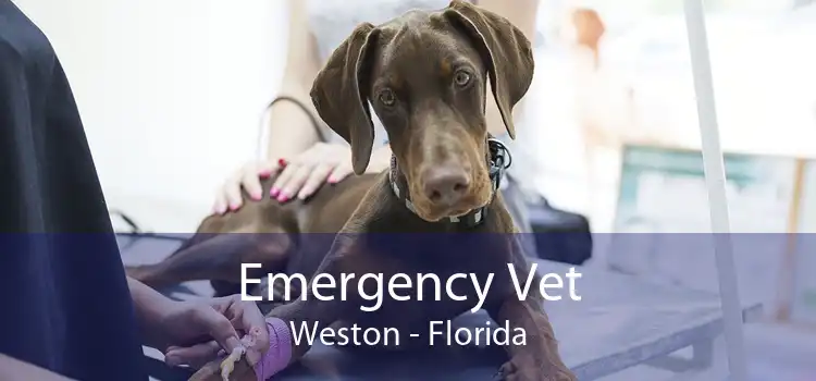 Emergency Vet Weston - Florida