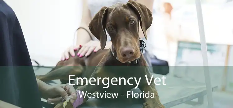 Emergency Vet Westview - Florida