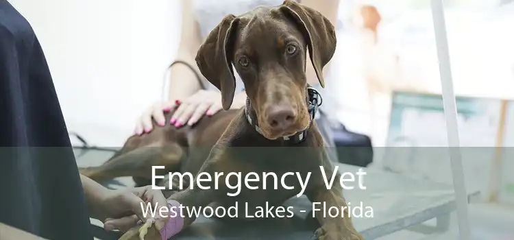 Emergency Vet Westwood Lakes - Florida