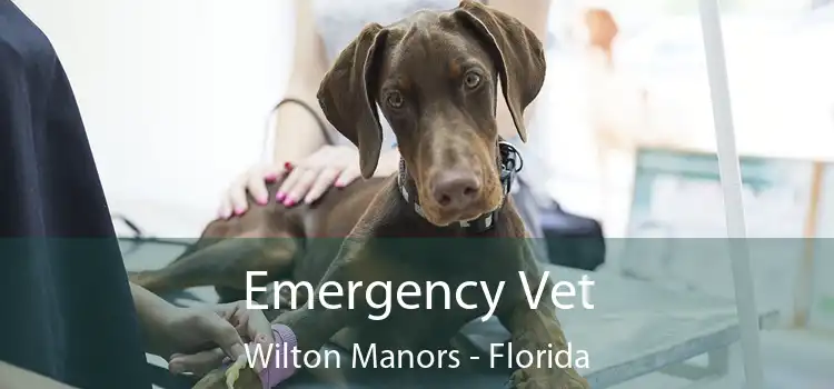 Emergency Vet Wilton Manors - Florida