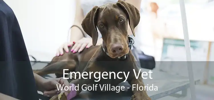 Emergency Vet World Golf Village - Florida