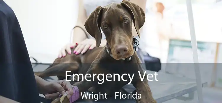 Emergency Vet Wright - Florida