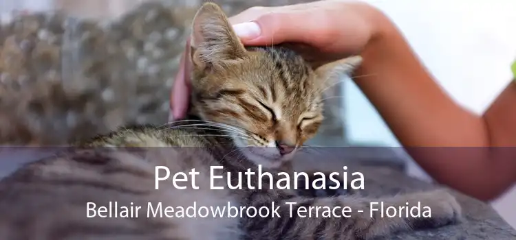Pet Euthanasia Bellair Meadowbrook Terrace - Florida