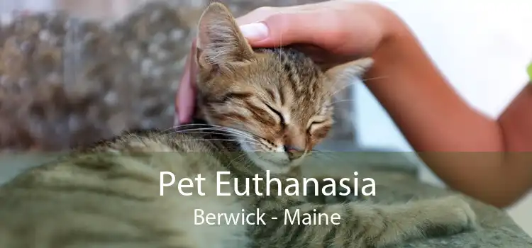Pet Euthanasia Berwick - Maine