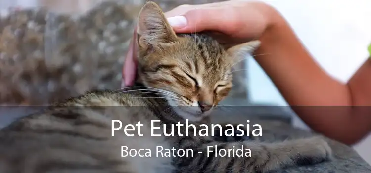 Pet Euthanasia Boca Raton - Florida
