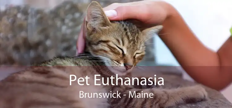 Pet Euthanasia Brunswick - Maine