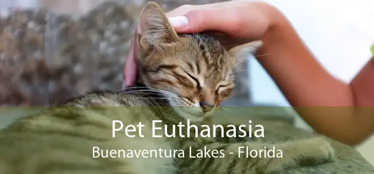 Pet Euthanasia Buenaventura Lakes - Florida