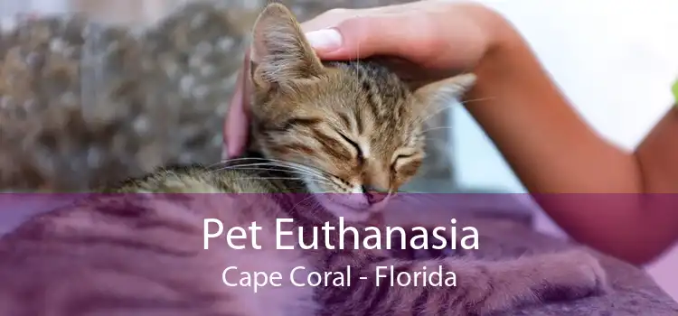Pet Euthanasia Cape Coral - Florida