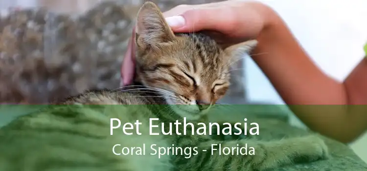 Pet Euthanasia Coral Springs - Florida