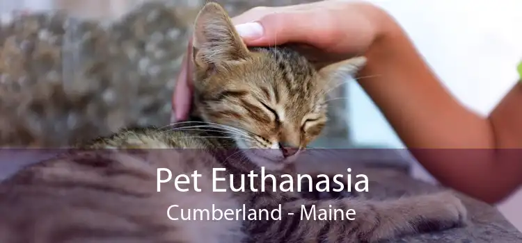 Pet Euthanasia Cumberland - Maine