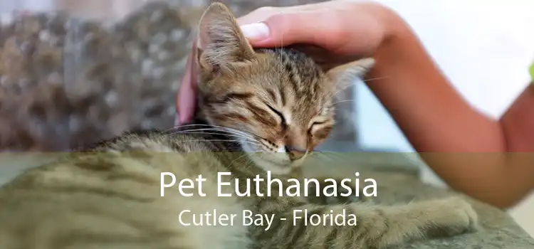 Pet Euthanasia Cutler Bay - Florida