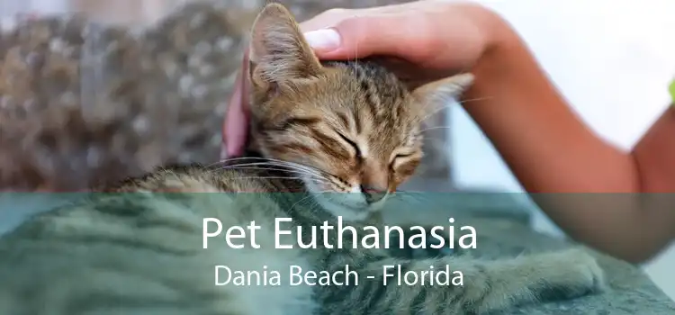 Pet Euthanasia Dania Beach - Florida