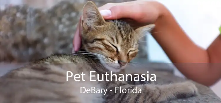 Pet Euthanasia DeBary - Florida