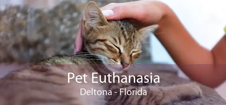 Pet Euthanasia Deltona - Florida