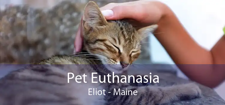 Pet Euthanasia Eliot - Maine