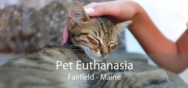 Pet Euthanasia Fairfield - Maine