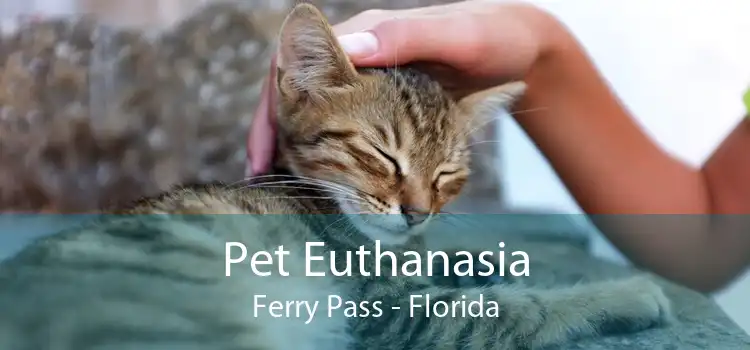 Pet Euthanasia Ferry Pass - Florida