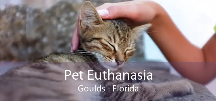Pet Euthanasia Goulds - Florida