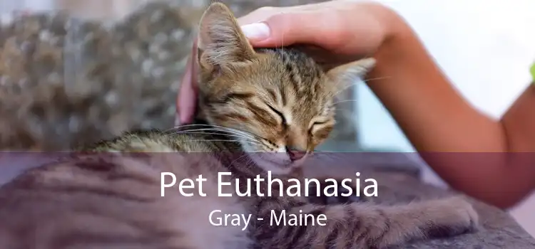 Pet Euthanasia Gray - Maine