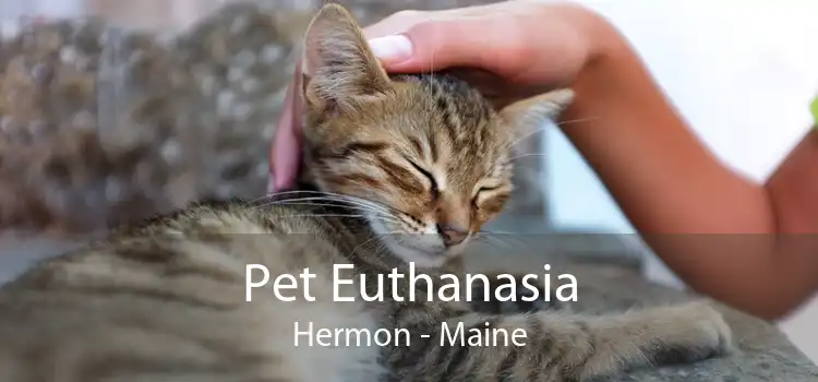 Pet Euthanasia Hermon - Maine