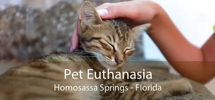 Pet Euthanasia Homosassa Springs - Florida
